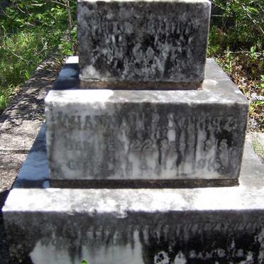 SCHULTZ Johanna H.P. 1915-1916