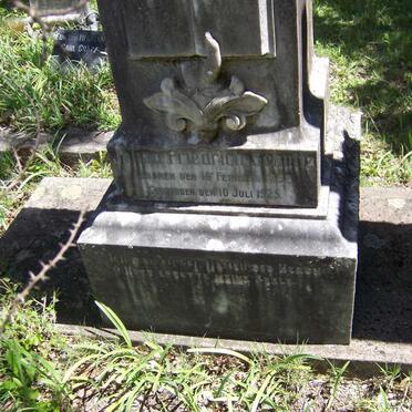 SCHULTZ Johan Friedrich 1852-1925