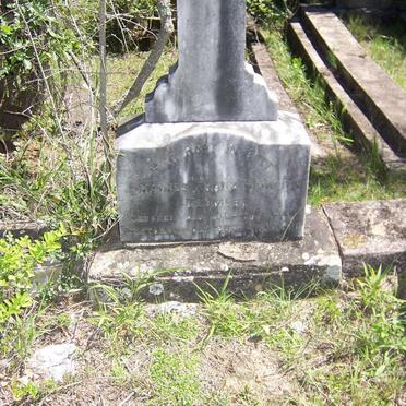 TESMER Johannes Franz Heinrich 1860-1900