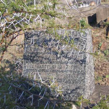 ? Dorothea M. 1860-????