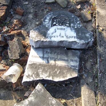 ? nee PAPP 1819-1900