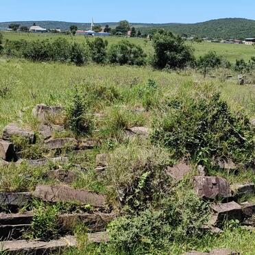 5. Overview / Oorsig