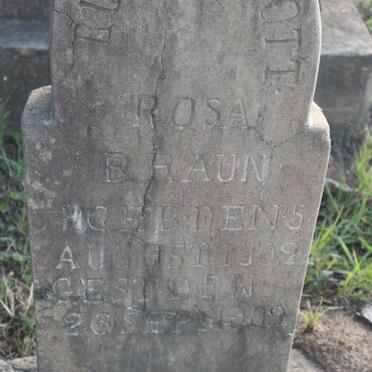 BRAUN Rosa 1902-1902