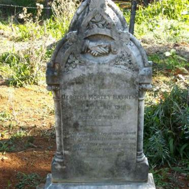 Eastern Cape, KING WILLIAM'S TOWN district, Cwencwe Forest, Farm 66, farm cemetery