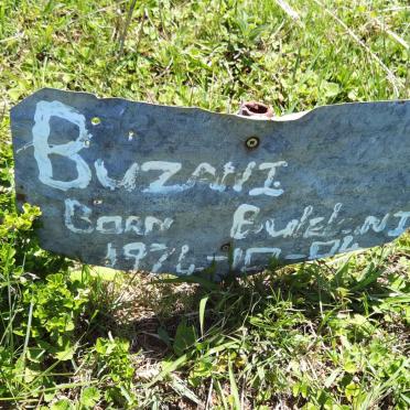 BUZANI ? 1974-?