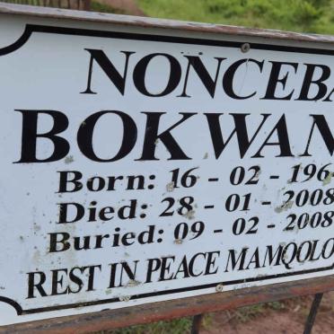 BOKWANA Noncebo 1964-2008
