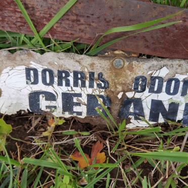 GEBANI Dorris Odoli