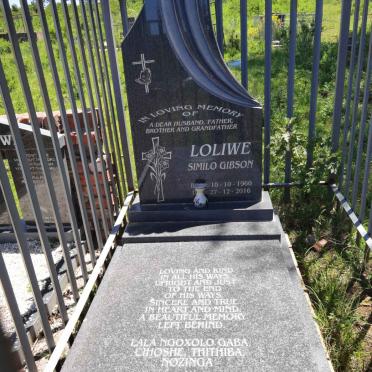 LOLIWE Similo Gibson 1960-2016