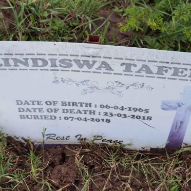 LINDISWA Tafeni 1965-2018