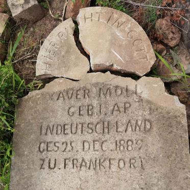 MOLL Xaver -1889