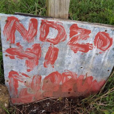 NDZO