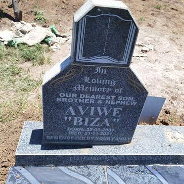 AVIWE Biza 2001-2021