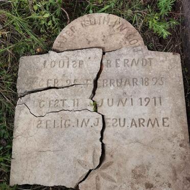 BERNDT Louise 1895-1911