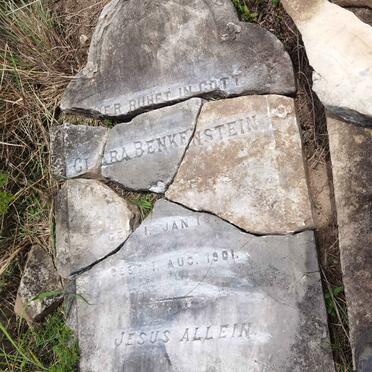 BENKENSTEIN Clara 1856-1901