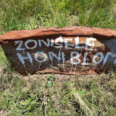 BLOM Zonisele Honi