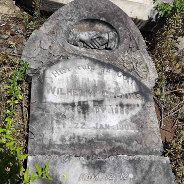 COLLINS Wilhelm 1868-1905