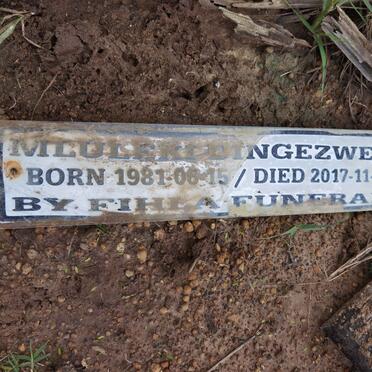 DINGEZWENI Miluleki 1981-2017