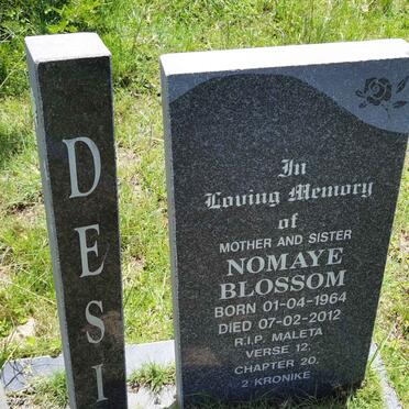 DESI Nomaye Blossom 1964-2012