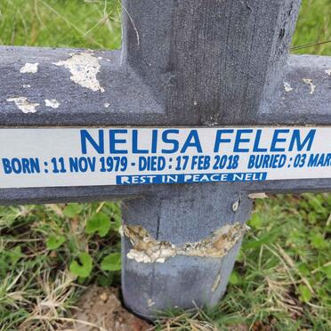 FELEM Nelisa 1979-2018