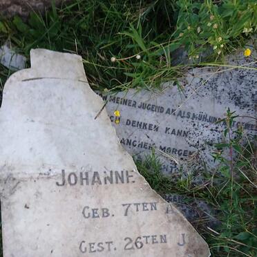 GRIEB Johanne A.W. 1896-1916