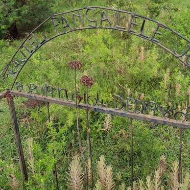 JOHNSON Mraviel Pangalele -1996