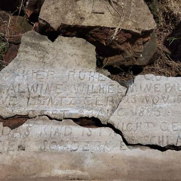 LENTZ Alwine Wilhelmine Pauline 1894-1895