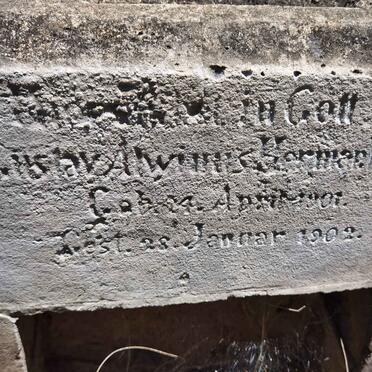 LENTZ Gustav A? Hermann 1901-1902