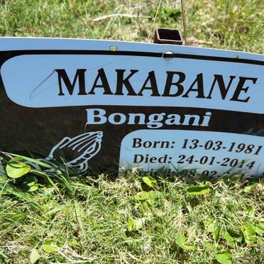 MAKABANE Bongani 1981-2014