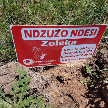 NDESI Zoleka, NDZUZO 1974-2020