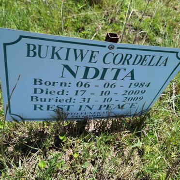 NDITA Bukiwe Cordelia 1984-2009