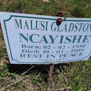 NCAYISHE Malusi Gladstone 1950-2009