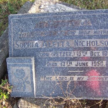 NICHOLSON Sophia Aletta nee PETZER 1869-1950