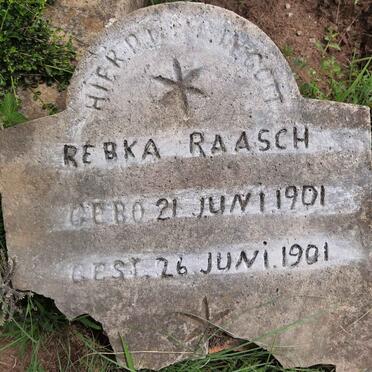 RAASCH Rebka 1901-1901