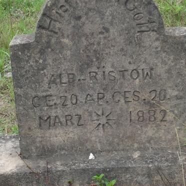 RISTOW Alb.1882-1882