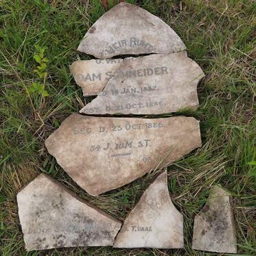 SCHNEIDER Adam 1832-1886