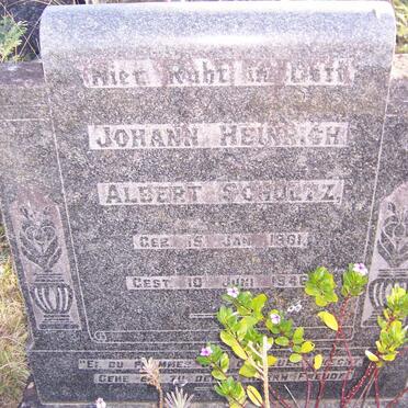 SCHULTZ Johann Heinrich Albert 1881-1946