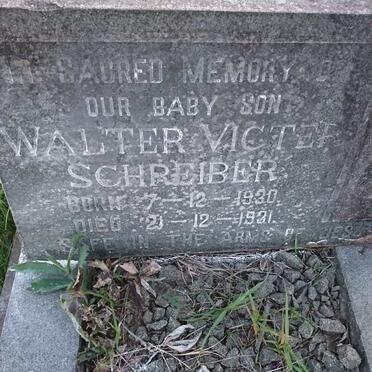 SCHREIBER Walter Victer 1930-1931