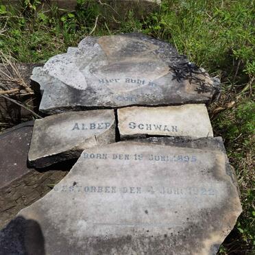 SCHWAN Albert 1895-1922