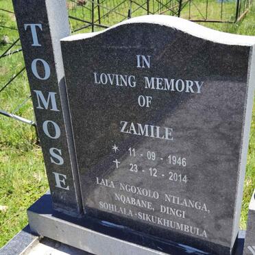 TOMOSE Zamile 1946-2014