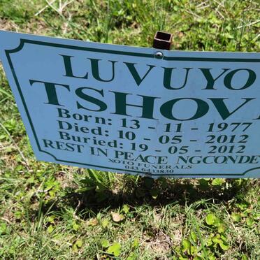 TSHOVI Luvuyo 1977-2012