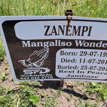 ZANEMPI Mangaliso Wonder 1989-2015
