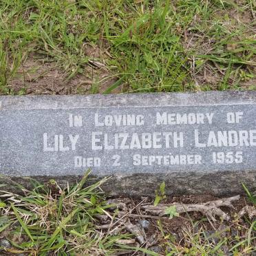 LANDREY Lily Elizabeth -1955