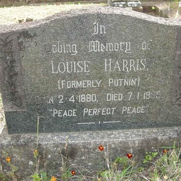 HARRIS Louise formerly PUTNIN 1880-1965