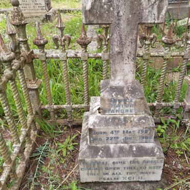 LANDREY Bruce Paton 1907-1908