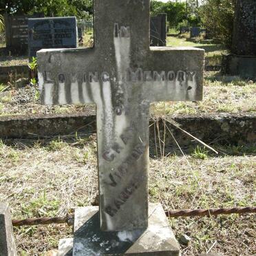 RANGER Gray Victor -1901