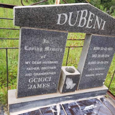 DUBENI Gcigci James 1933-2014