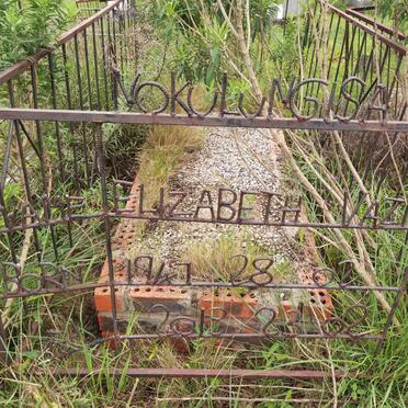 VAZI Elizabeth 1947-2013