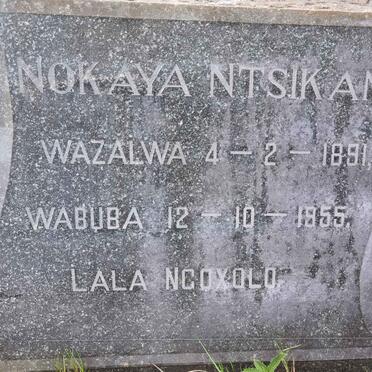 NTSIKANA Nokaya 1891-1955