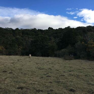 1. Overview / Oorsig