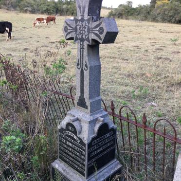 ROSS :: ERSKINE Family plot